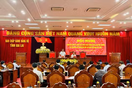 Gia Lai: Thống nhất kết thúc hoạt động Đảng bộ cấp huyện và thành lập Đảng bộ cấp xã mới sau sắp xếp