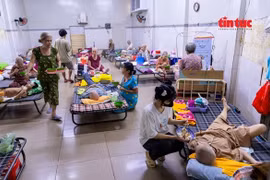 'Viện dưỡng lão' miễn phí cho những cụ già neo đơn