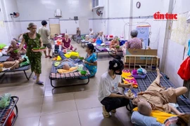 'Viện dưỡng lão' miễn phí cho những cụ già neo đơn