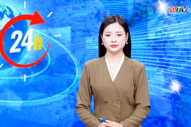 Gia Lai 24h: Xuất khẩu lô cá điêu hồng sushi đầu tiên sang Nhật Bản