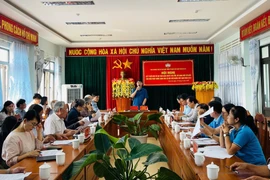 Gia Lai: Lấy ý kiến Dự thảo Nghị quyết sửa đổi, bổ sung một số điều của Hiến pháp năm 2013