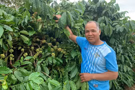 Nông dân Gia Lai làm theo Bác bằng những mô hình sản xuất hiệu quả