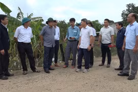 Phó Chủ tịch UBND tỉnh Dương Mah Tiệp kiểm tra tình hình ngập lụt tại xã Uar.