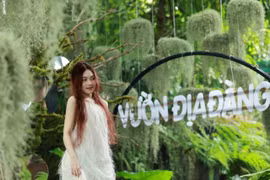 Giới trẻ hào hứng lên kế hoạch đón Tết Dương lịch