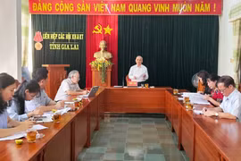 Gia Lai: Góp ý, phản biện hồ sơ xây dựng nghị quyết về đãi ngộ, thu hút, đào tạo nhân lực y tế