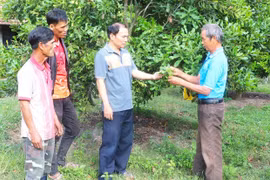 Kbang phát huy vai trò người có uy tín