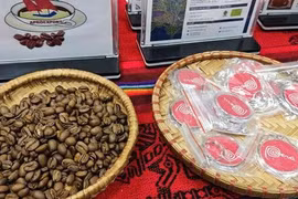 Việt Nam chi hơn nửa tỉ USD nhập khẩu cà phê