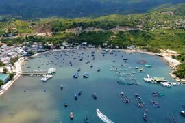 Năm 2024, điểm du lịch nào được người Việt tìm kiếm nhiều nhất trên Google?