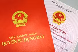 Bình Định thu hồi hơn 300 sổ đỏ cấp sai