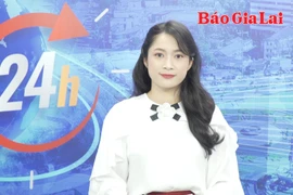 Gia Lai 24h: Phân hiệu Trường Đại học Sư phạm TP. Hồ Chí Minh tại tỉnh Gia Lai tổ chức hoạt động đào tạo