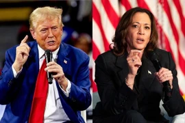 Bầu cử Mỹ: Con đường nào dẫn đến chiến thắng cho bà Harris và ông Trump?