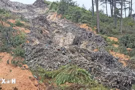 Lâm Đồng: Rác chảy như thác vùi lấp vườn càphê của người dân