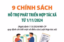 9 chính sách hỗ trợ phát triển hợp tác xã từ 1/11/2024