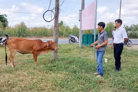 Ia Pa hỗ trợ sinh kế giúp người dân vươn lên