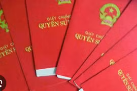 Xử lý vụ cấp sổ đỏ gần 4,3ha trùng lên đất Trại giam Đại Bình