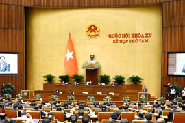 Quốc hội thảo luận về phân bổ ngân sách, Luật Địa chất và Khoáng sản