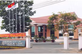 Công ty TNHH một thành viên Cao su Mang Yang