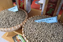 Giá cà phê hôm nay 19-12: Robusta tiếp tục giảm nhưng Arabica tăng