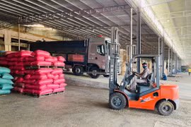 Xuất khẩu nông sản chưa tương xứng với tiềm năng