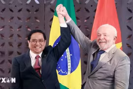 Đưa quan hệ Đối tác toàn diện Việt Nam-Brazil đi vào chiều sâu, bền vững