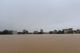 Bão Trà Mi gây mưa lớn hơn bão YAGI