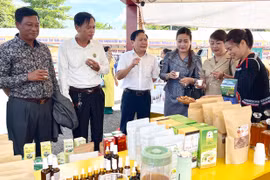 Phiên chợ biên giới Gia Lai và Ratanakiri: Kết nối giao thương, thúc đẩy thương mại phát triển