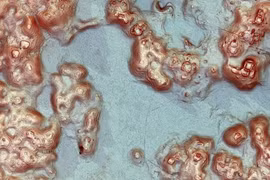 Bất ngờ phát hiện thành phố Maya cổ nhờ bắn tia laser