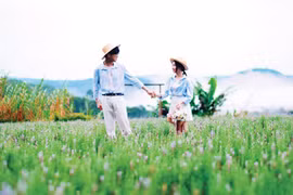 Khơi sáng những miền quê đáng sống - Bài 2: “Nữ hoàng” sắc hương giữa môi trường sinh thái