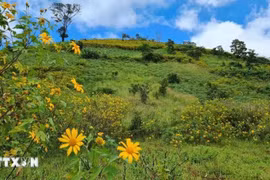 Khám phá 5 núi lửa với cảnh sắc thiên nhiên kỳ vĩ ở Việt Nam