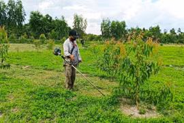 Kông Chro phấn đấu sớm hoàn thành kế hoạch trồng rừng