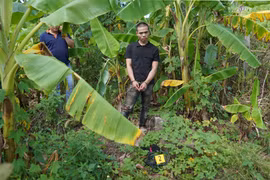 Công an thành phố Kon Tum bắt giữ đối tượng trộm xe máy