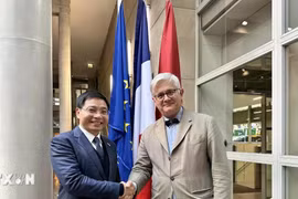 Việt Nam và Pháp thúc đẩy dự án đường sắt đô thị đoạn Nhổn-Ga Hà Nội