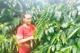 Cổ tích từ con chữ