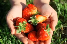 6 siêu thực phẩm tốt cho tuổi thọ, bác sĩ khuyên người ngoài 50 nên ăn