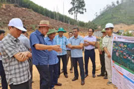 "Thức" cùng... cao tốc - Kỳ 2: Theo sát bài toán về vốn và rừng