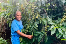 Tuổi cao vẫn bền chí làm giàu