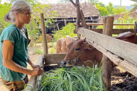 Ia Rbol tranh thủ nguồn vốn chương trình mục tiêu quốc gia để giảm nghèo
