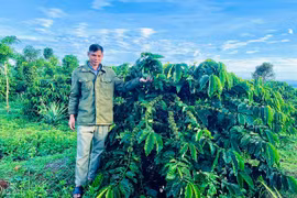 Rơ Châm Pyik: Điển hình sản xuất kinh doanh giỏi