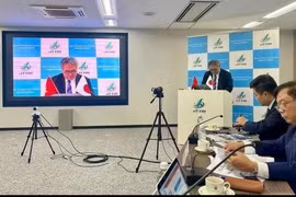 Việt Nam-Nhật Bản hợp tác cân bằng phát triển du lịch và bảo tồn văn hóa