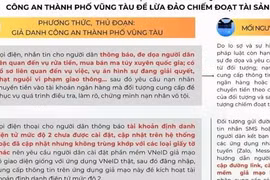 2 người ở TP Vũng Tàu bị lừa hơn 10 tỉ đồng
