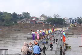 Nước sông Hồng dâng cao, tạm đóng cầu phao Phong Châu