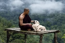 Phim chữa lành có thầy tu '6 múi'