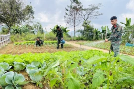 Cánh sóng giữa đèo mây núi gió