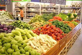 Kim ngạch xuất khẩu rau quả 11 tháng vượt xa cả năm 2023