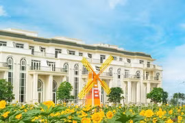 TP.HCM khai trương lễ hội hoa hướng dương