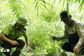 Đắk Lắk: Ngăn chặn tình trạng săn bắt động vật hoang dã, xâm hại tài nguyên rừng