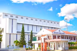 Nhà máy Đường An Khê hỗ trợ kinh phí chuyển đổi sang trồng mía