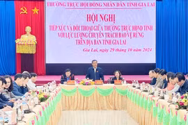 Tháo gỡ khó khăn về chính sách cho lực lượng bảo vệ rừng