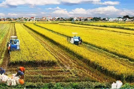 Bộ Tài chính tiếp tục đề xuất miễn thuế sử dụng đất nông nghiệp