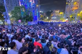 Chào năm mới 2025: Không khí hân hoan tràn ngập Thành phố Hồ Chí Minh